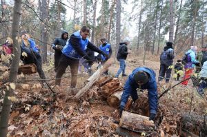 Зелёные легкие Тольятти под опекой ПАО "КуйбышевАзот"