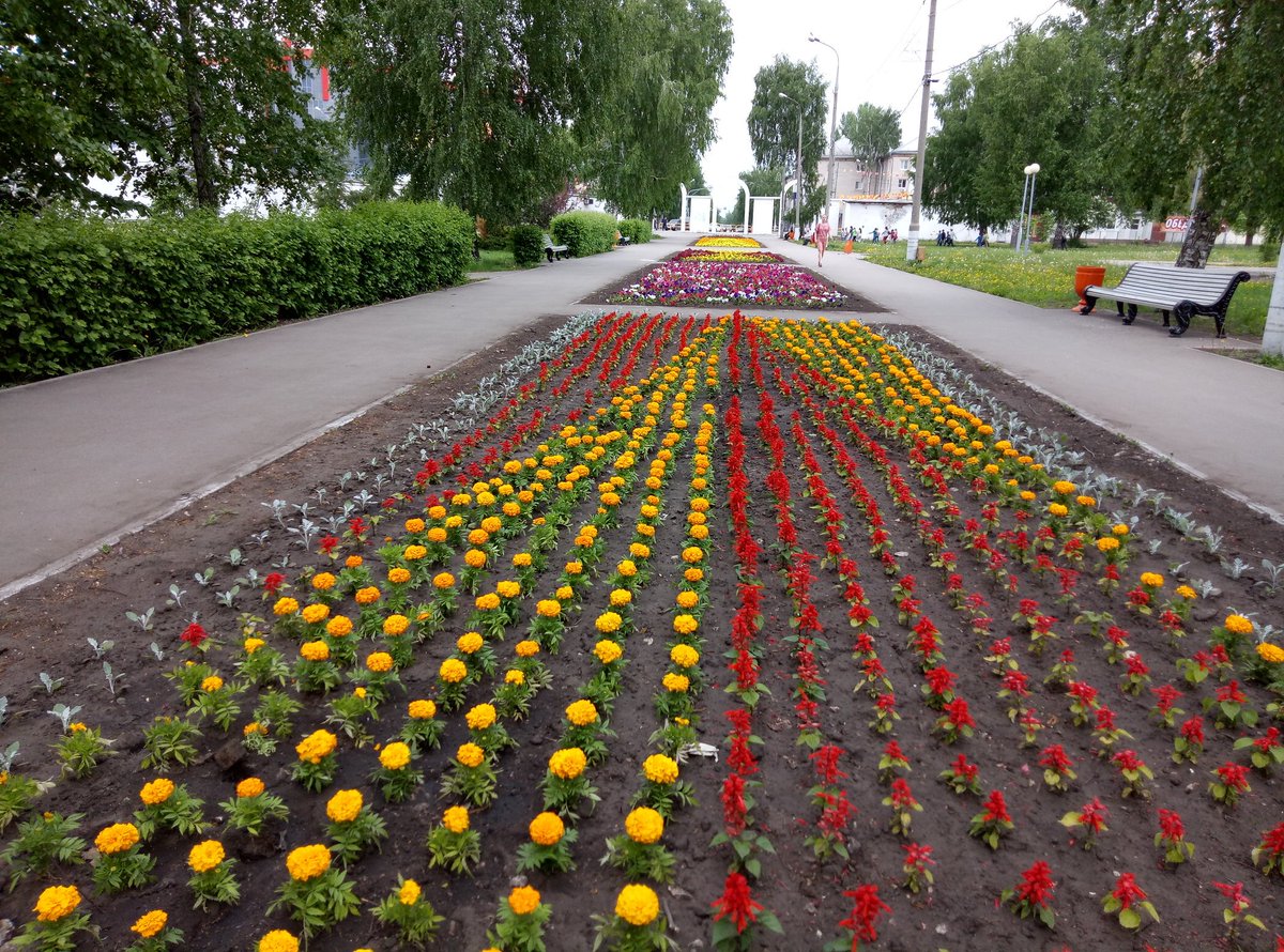 Проект парка в центральном районе тольятти